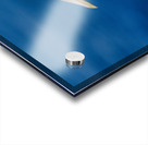 In Flight Acrylic print