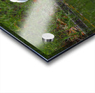 Reflection Acrylic print