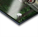 P8040112 Neo Acrylic print