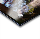 Light Fall Acrylic print