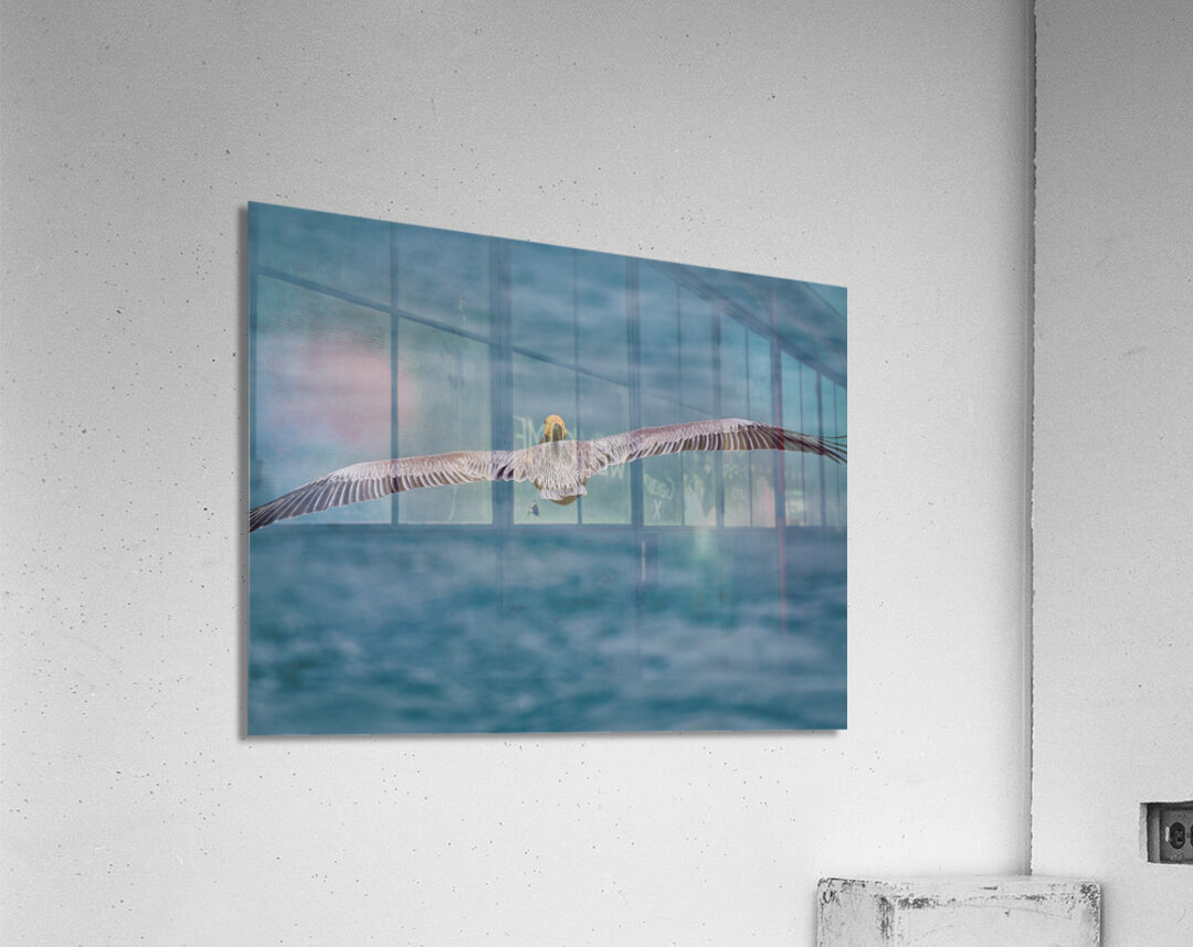 Feathers Acrylic Print