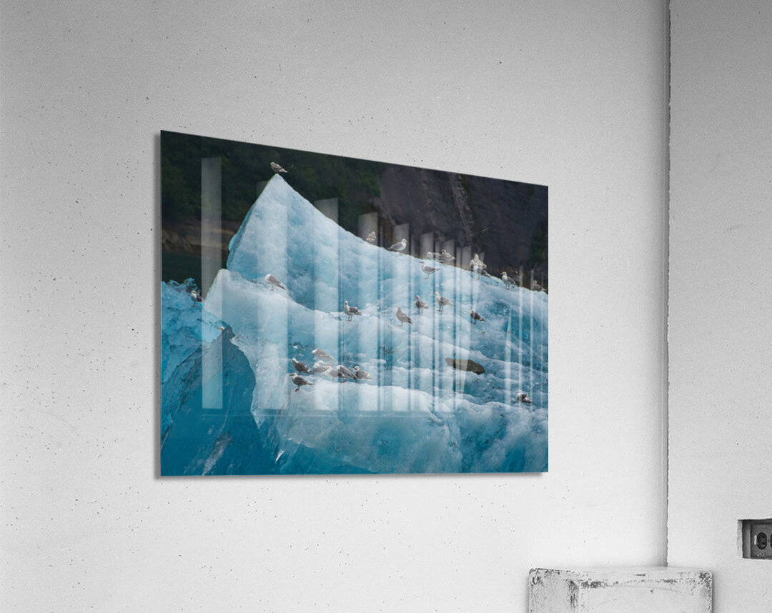 IceBirds Acrylic Print