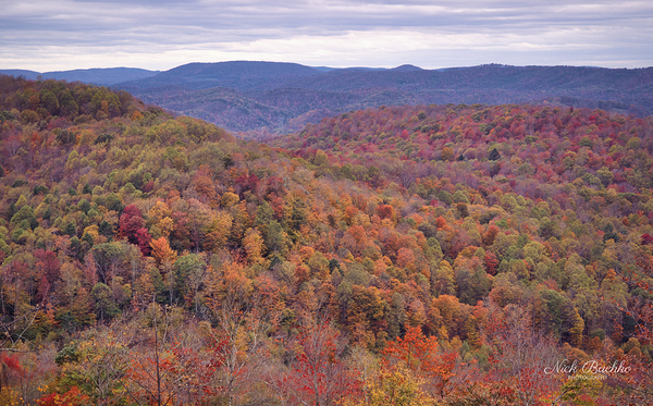 Autumn Extravaganza Digital Download