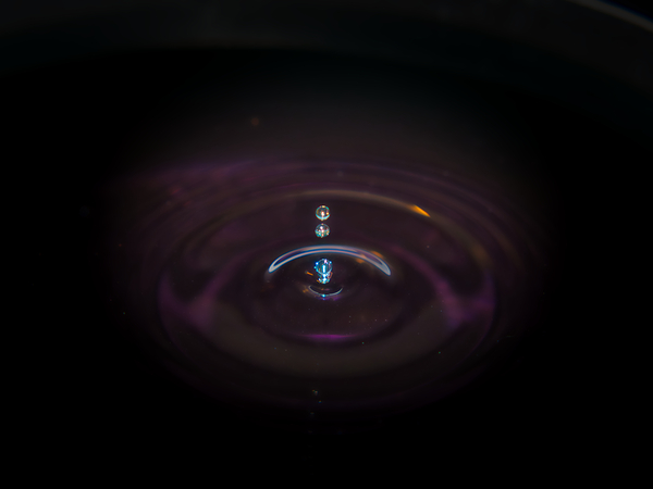 A Splash of Color Print