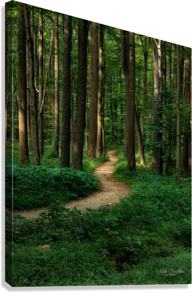 The Mystical Pathway Canvas Print