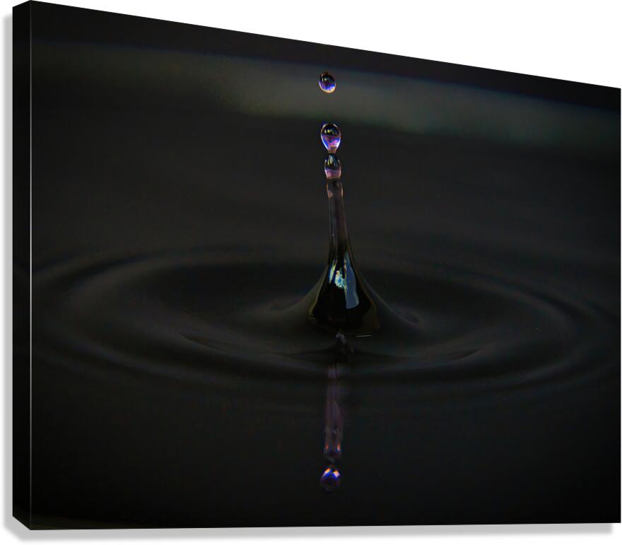Purple Drop Canvas Print