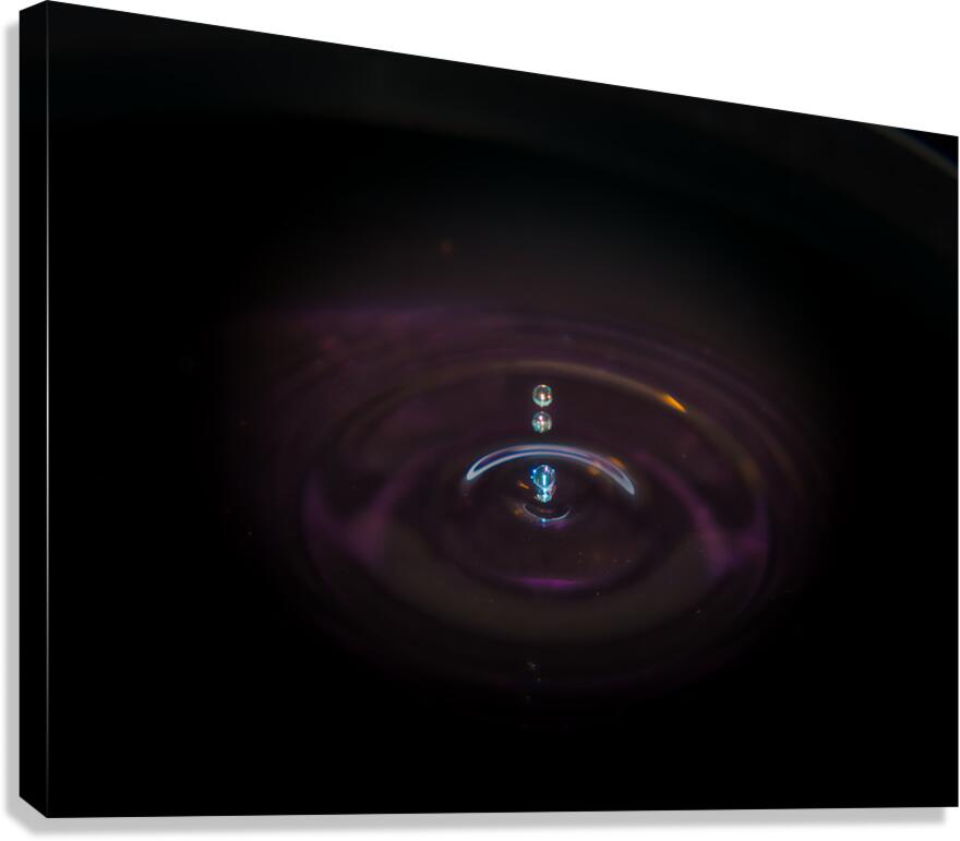 A Splash of Color Canvas Print