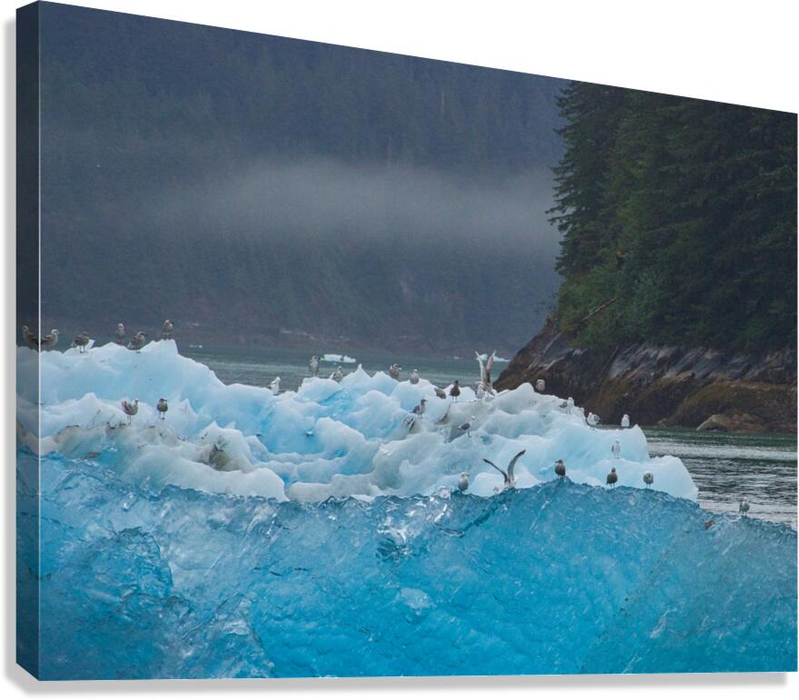 Alaskan Blue Canvas Print