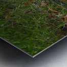 Reflection Metal print