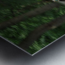 P8040112 Neo Metal print