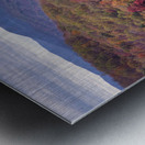 Autumn Extravaganza Metal print