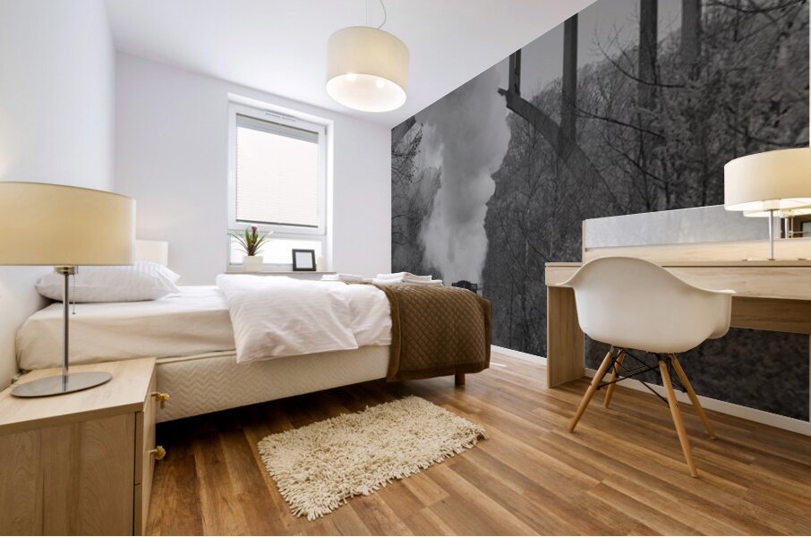 Steam Engine Mural print