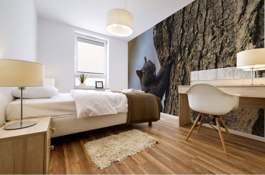 Black Squirrel Mural print