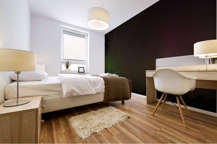 Aurora Borealis Mural print