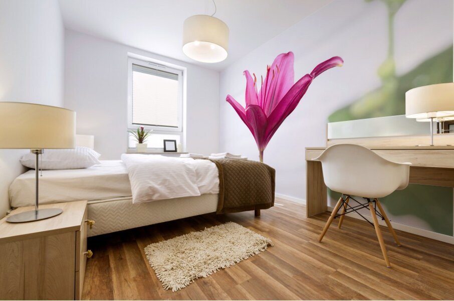 The Majestic Lily Mural print