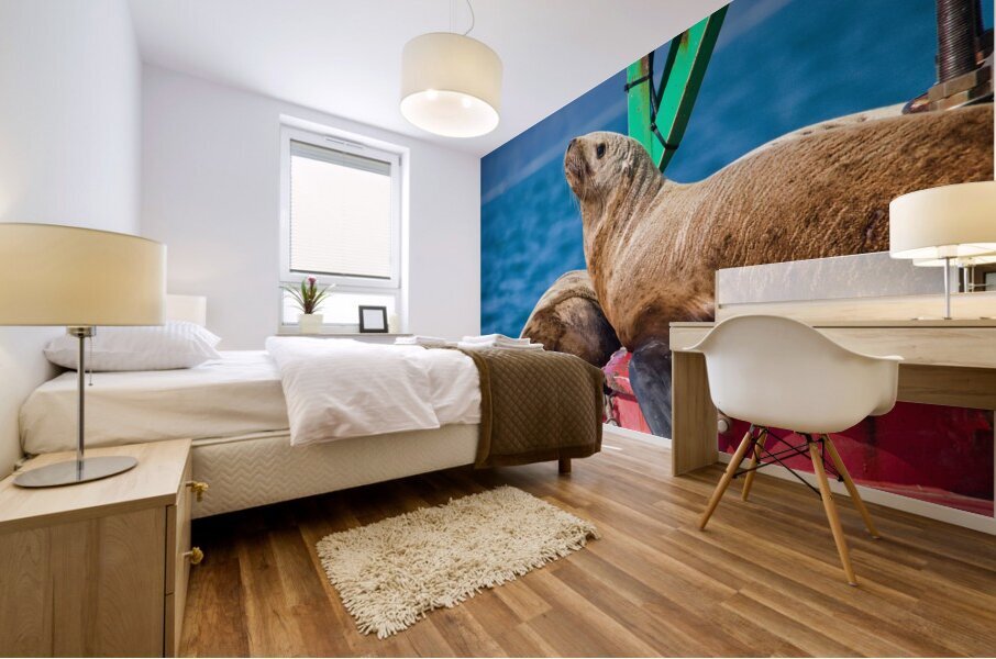 Seal of Approval Mural print