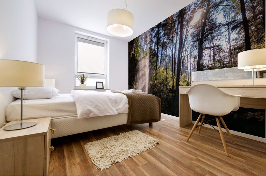 Light Fall Mural print