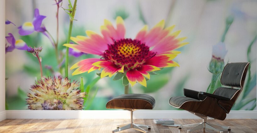 An Indian Blanket Gracing the Garden Wall Murals