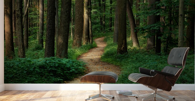 The Mystical Pathway Wall Murals