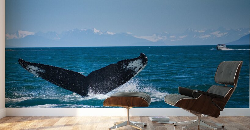 Whale Tale Wall Murals