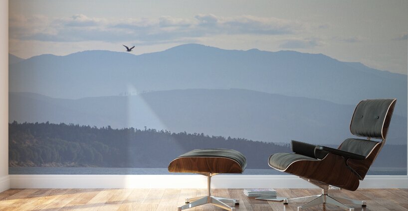 Layers of Blue Wall Murals