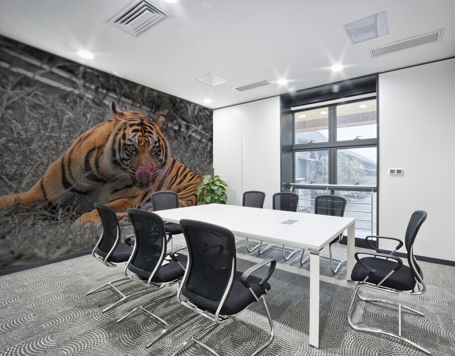 tiger bw Wall Printing