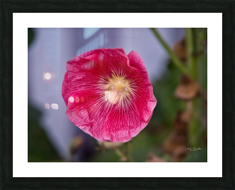Calling All Pollinators Picture Frame print