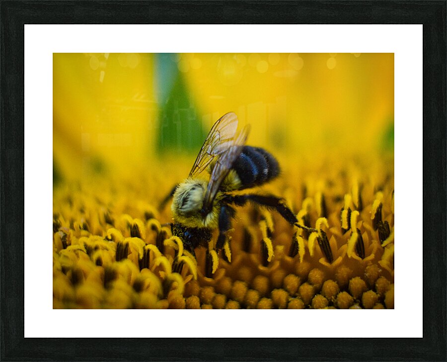 Lunch Picture Frame print