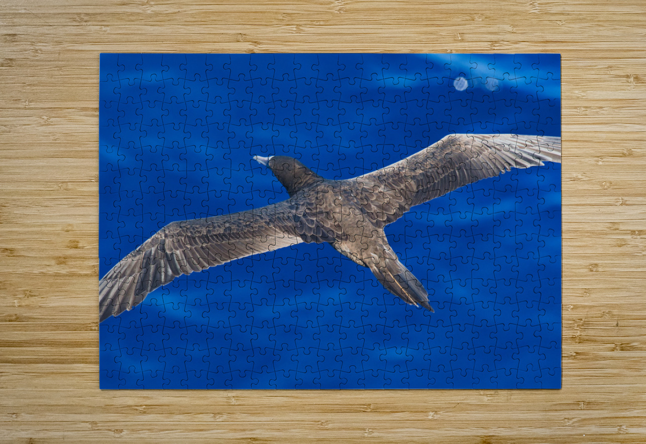 Wingspan Buchko Photography Puzzle printing