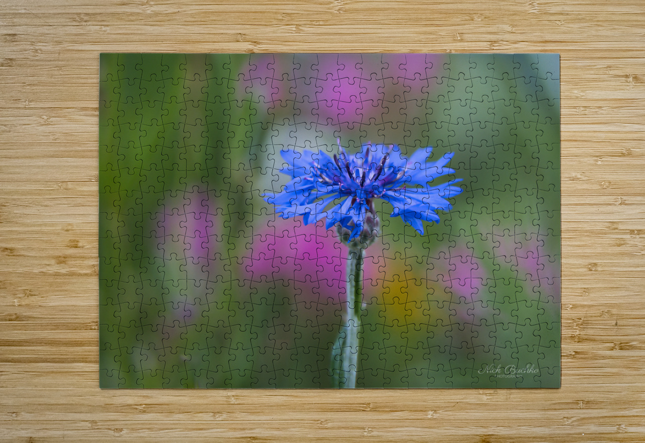 Hope for the Future Buchko Photography Puzzle printing