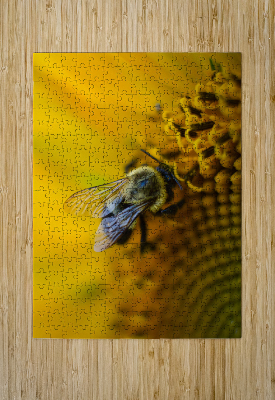 Wings Buchko Photography Puzzle printing