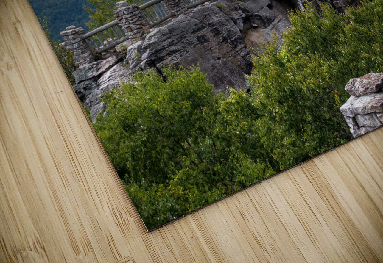 I Can See Clearly Now Buchko Photography Puzzle