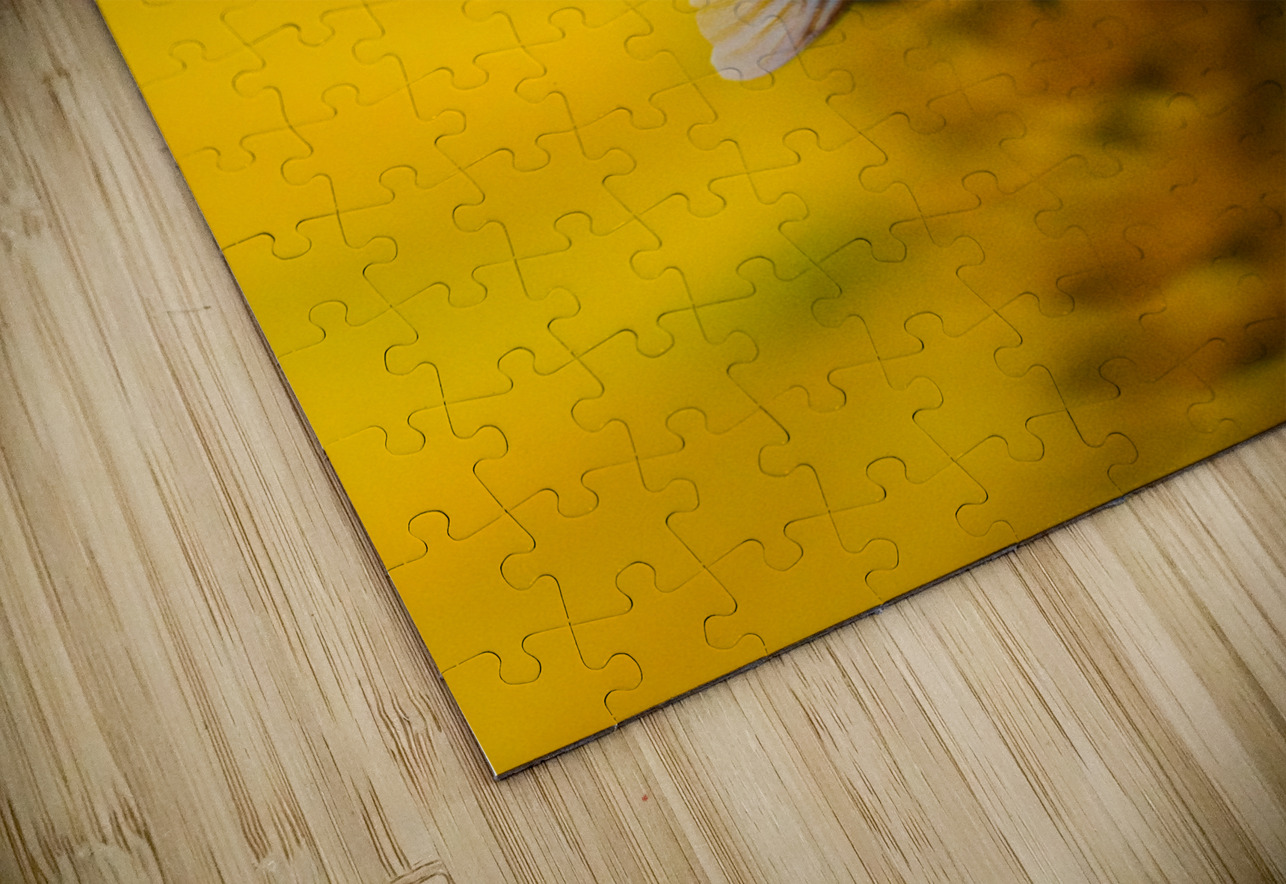 Wings Buchko Photography Puzzle