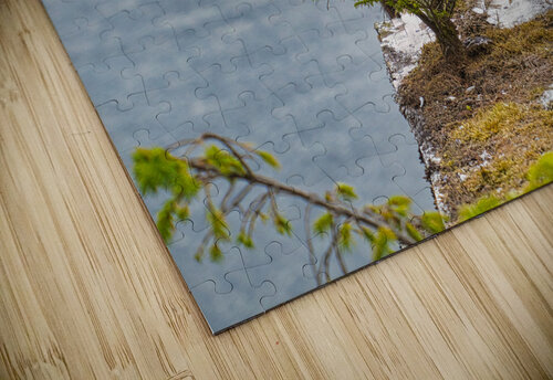 Natures Bonsai Buchko Photography puzzle