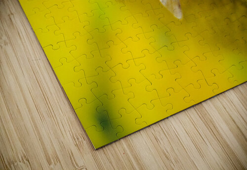 Pollen Buchko Photography puzzle