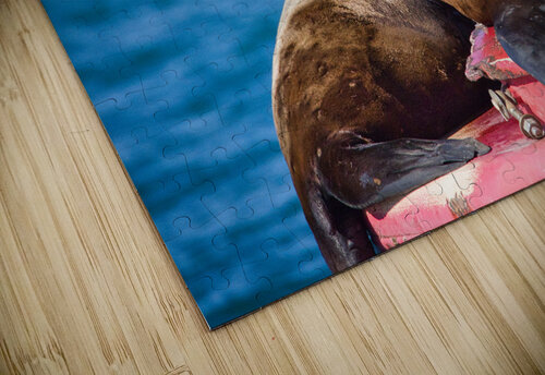 Seal of Approval Buchko Photography puzzle