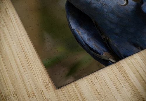 Peace Parrot Buchko Photography puzzle