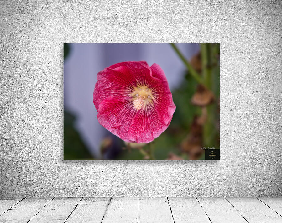 Calling All Pollinators Wall Preview