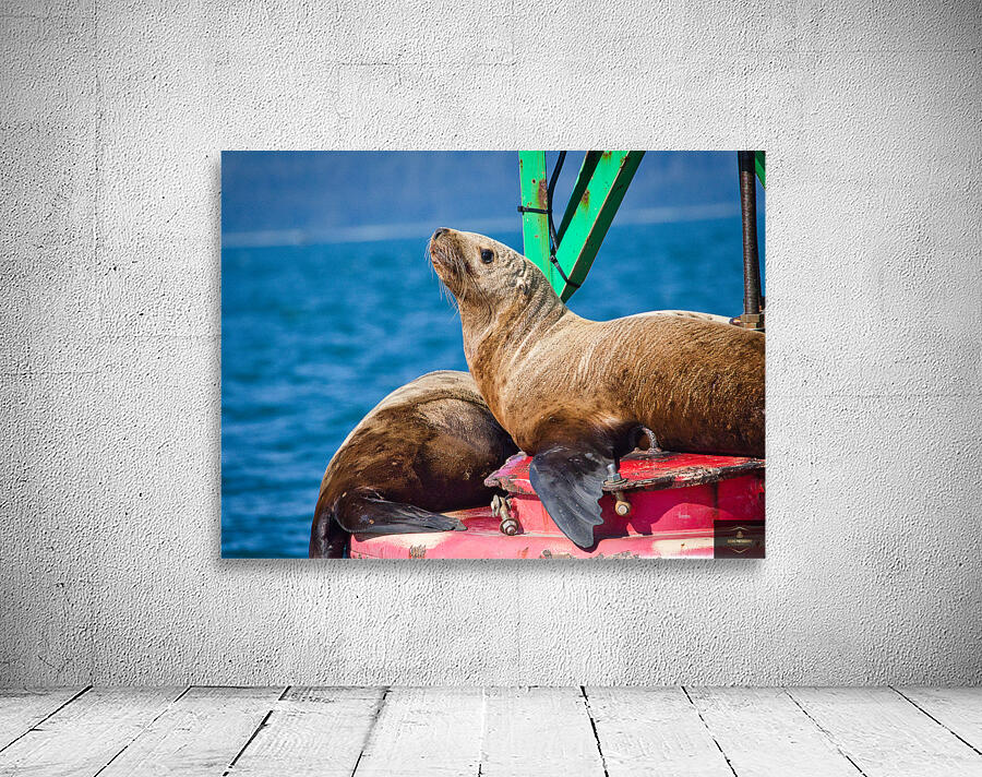 Seal of Approval Wall Preview