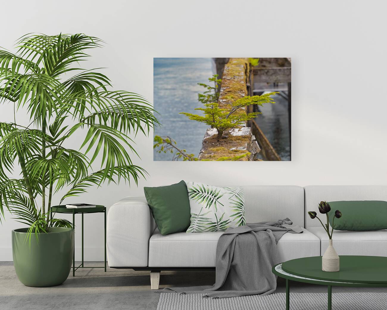 Natures Bonsai Reproduction