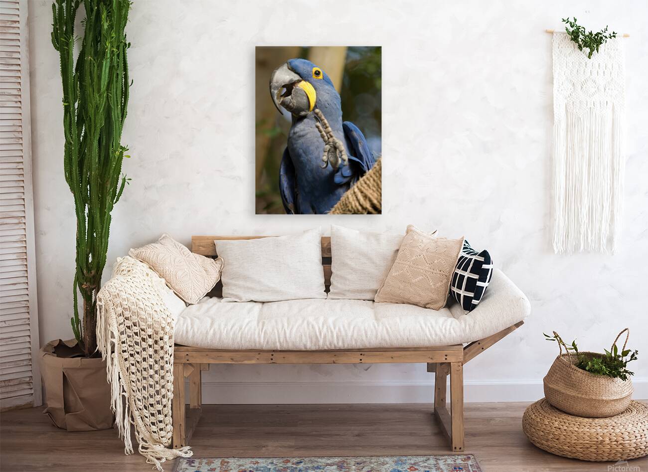 Peace Parrot Reproduction