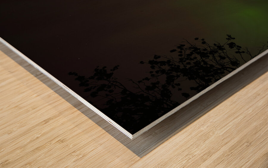 Aurora Borealis Wood print