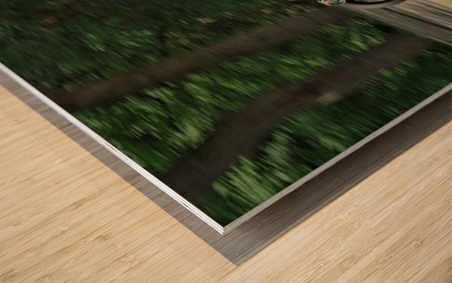 P8040112 Neo Wood print