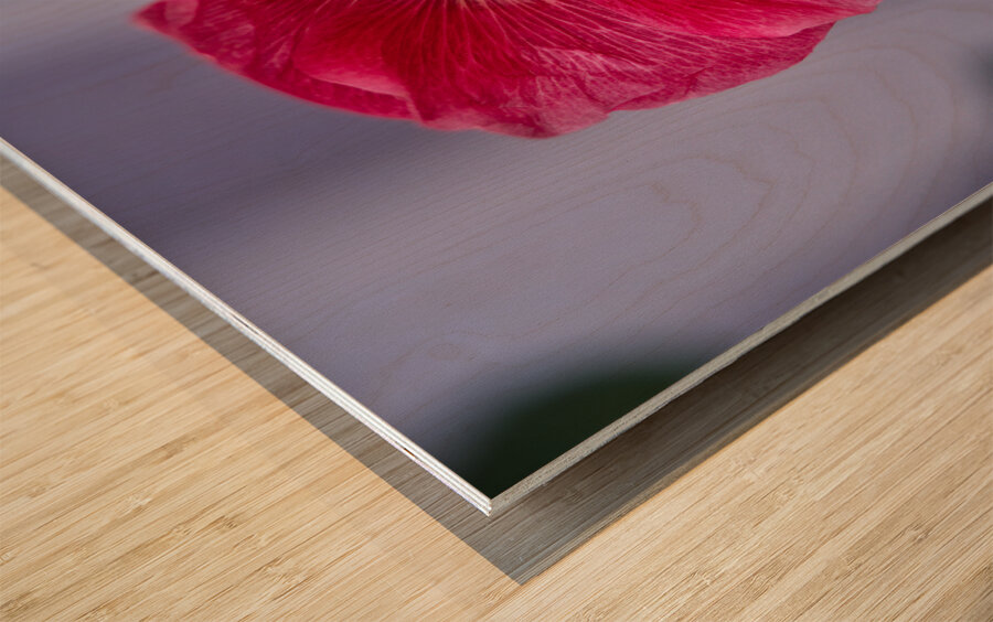 Calling All Pollinators Wood print