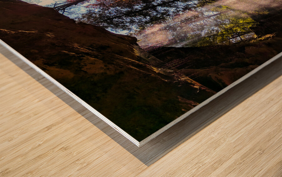 Light Fall Wood print