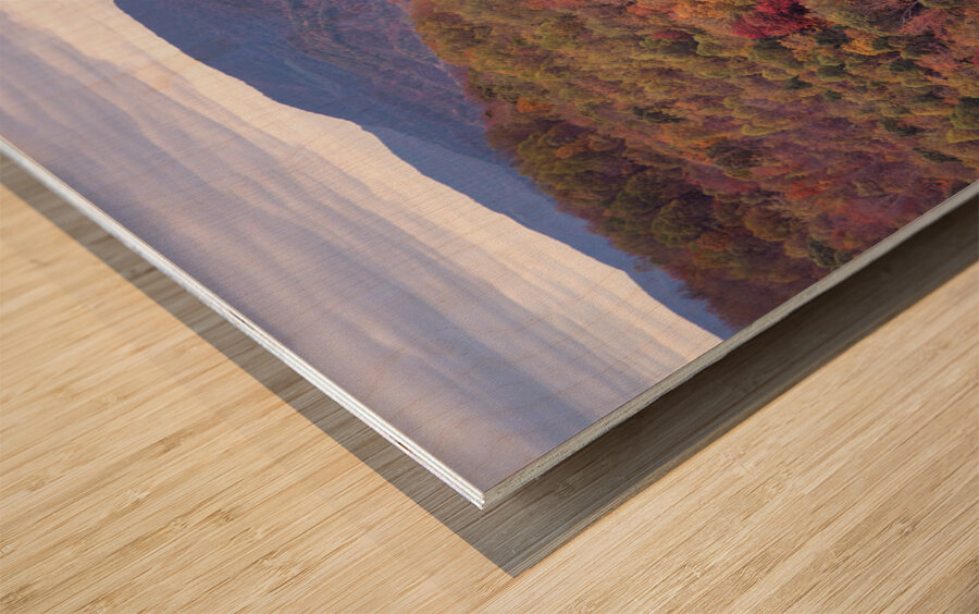 Autumn Extravaganza Wood print